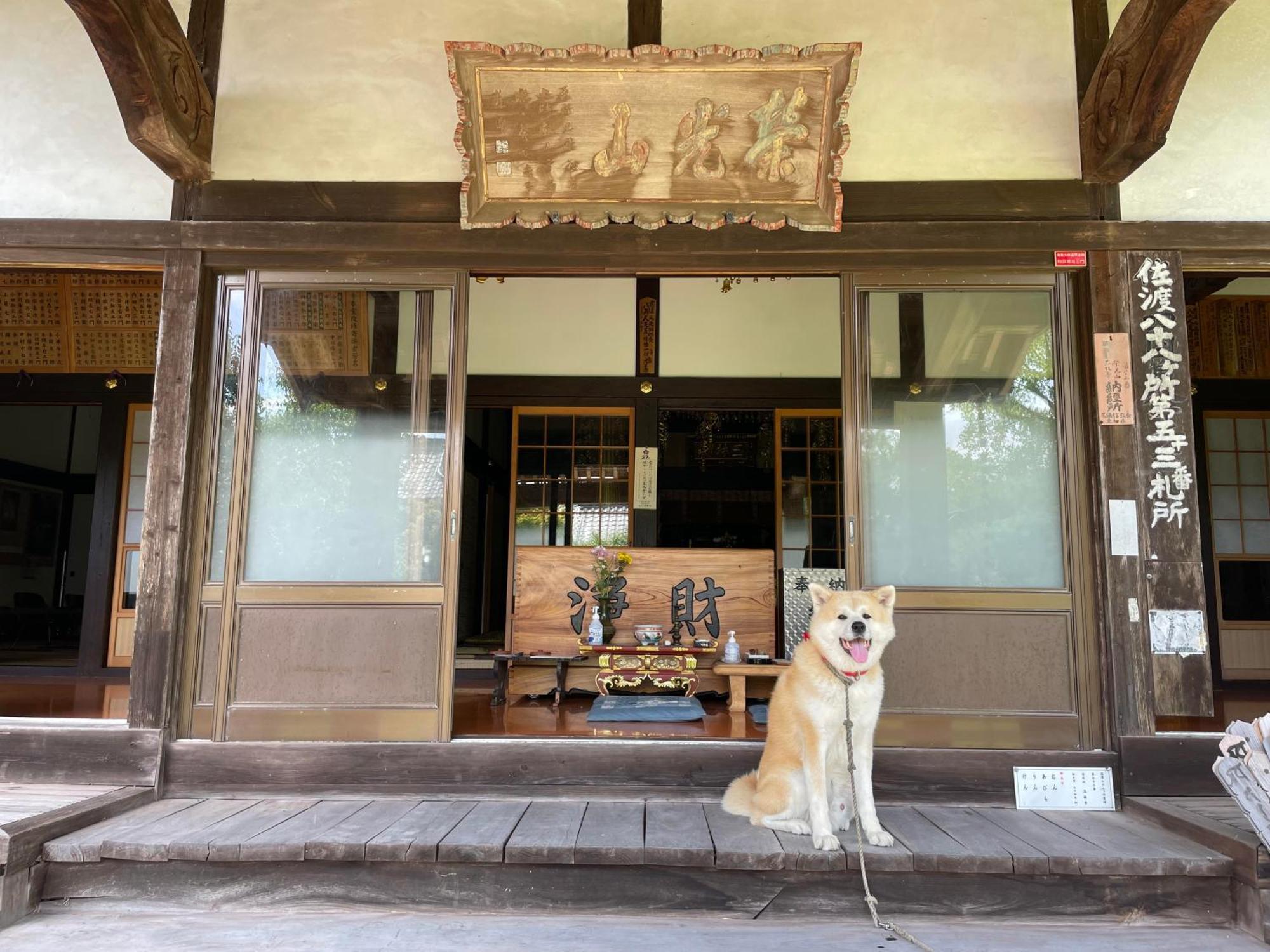 Temple Stay 玉林寺 Sado Dış mekan fotoğraf